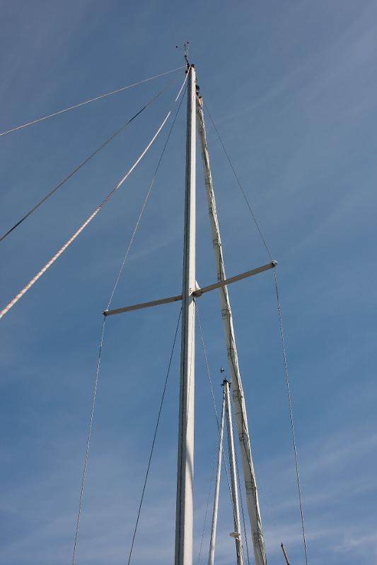 _MG_9717.jpg