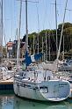 _MG_8008