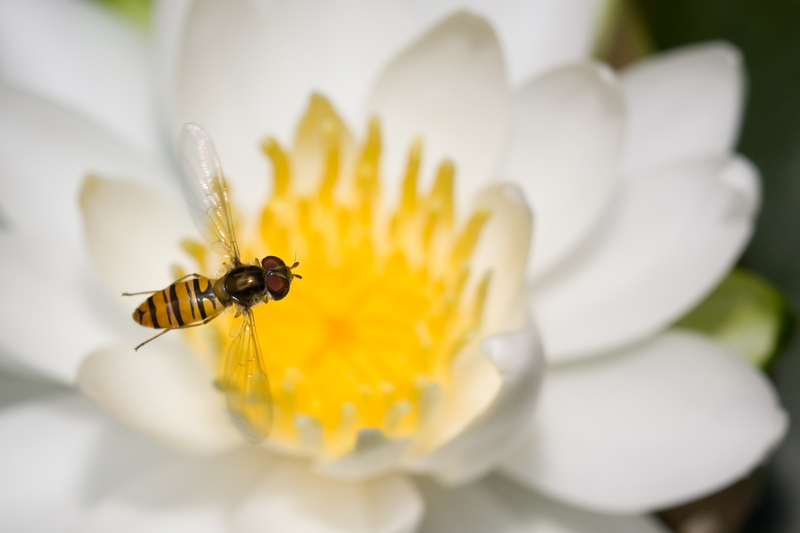 _MG_5864.jpg