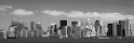 _MG_1610-NB3