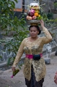 _MG_4408-11