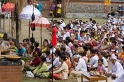 _MG_4431-21