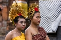 _MG_4435-25