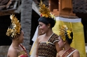 _MG_4436-26